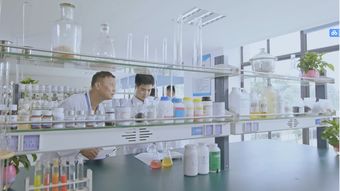 生物農藥技術研發的先鋒——廣東省城市建設技師學院